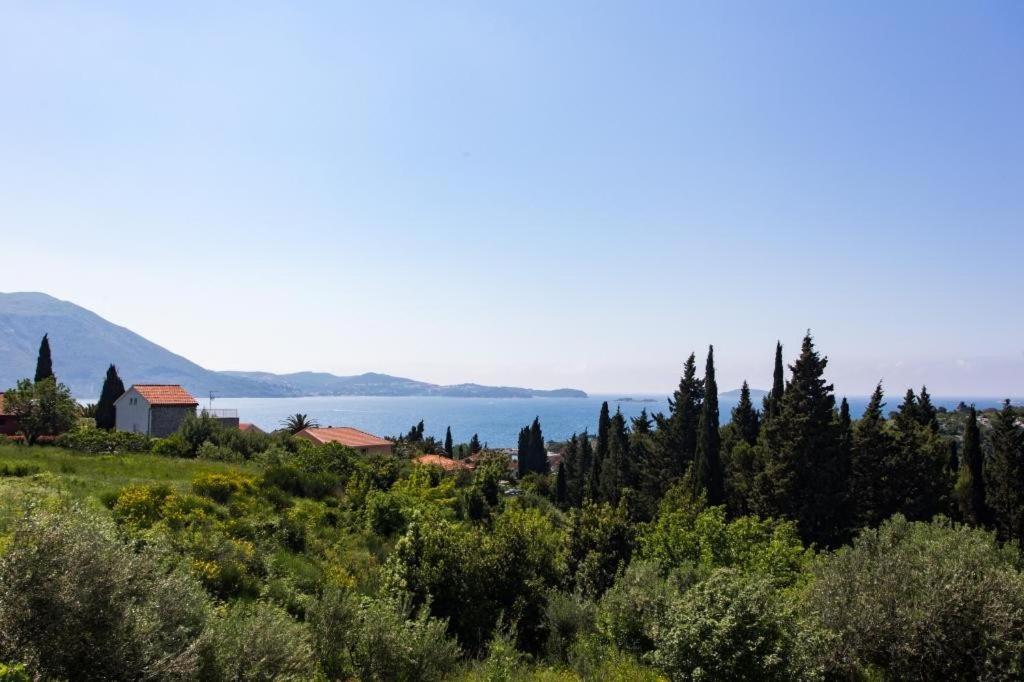 Villa Avoca Mlini Dış mekan fotoğraf