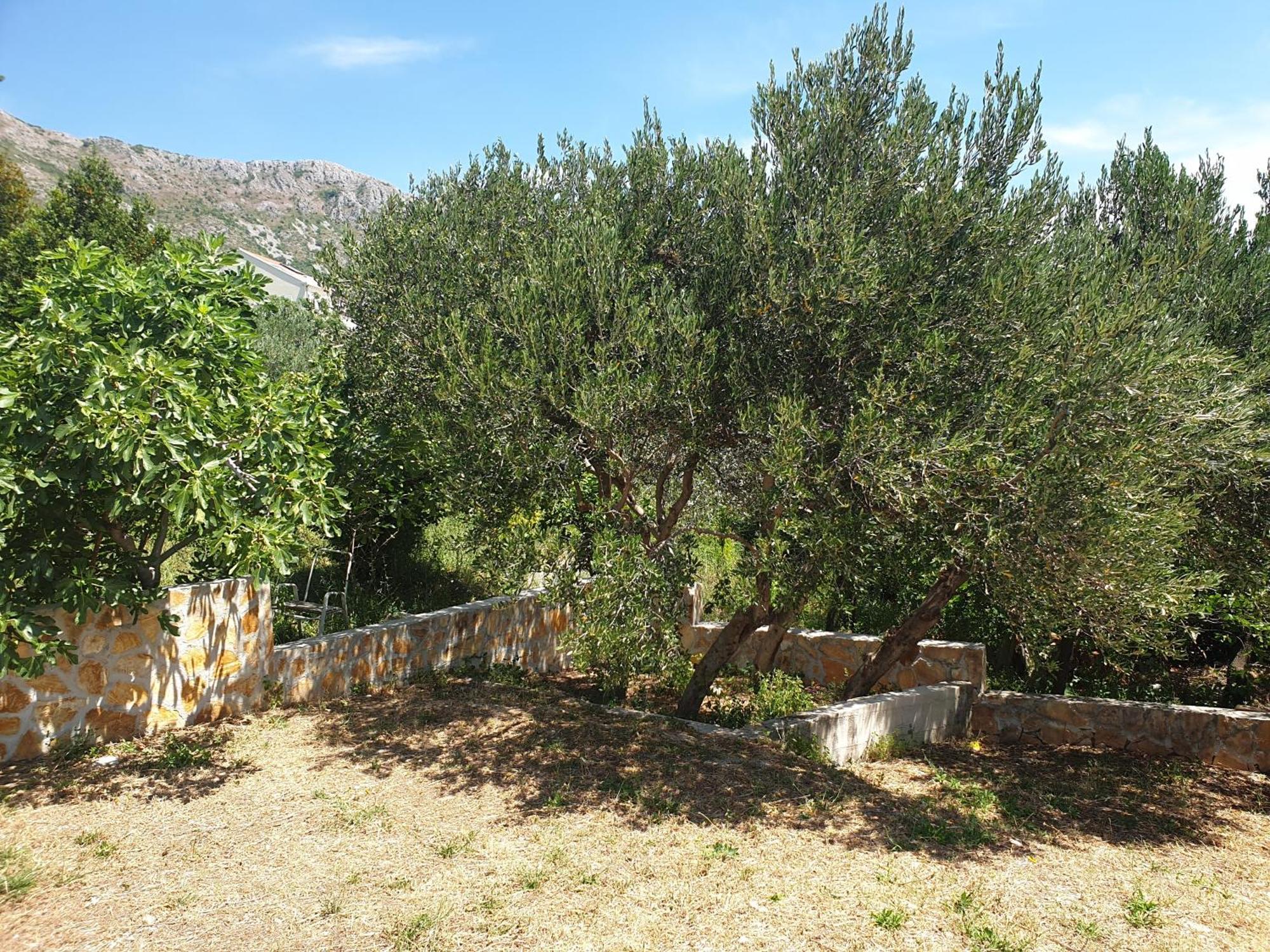Villa Avoca Mlini Dış mekan fotoğraf